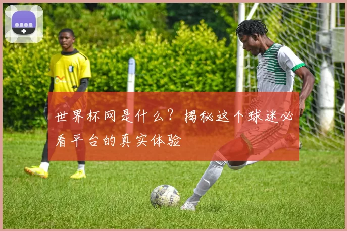 世界杯网是什么？揭秘这个球迷必看平台的真实体验