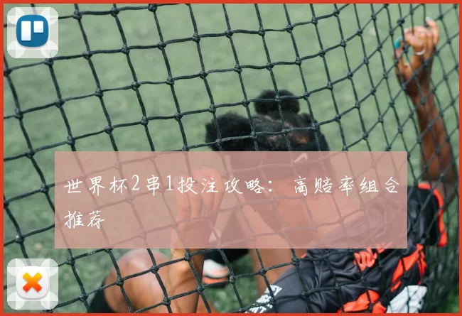 世界杯2串1投注攻略:高赔率组合推荐