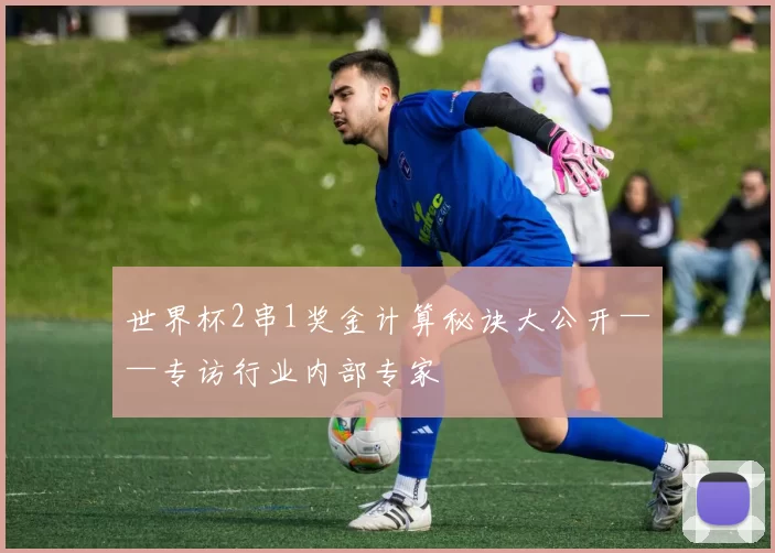 世界杯2串1奖金计算秘诀大公开——专访行业内部专家